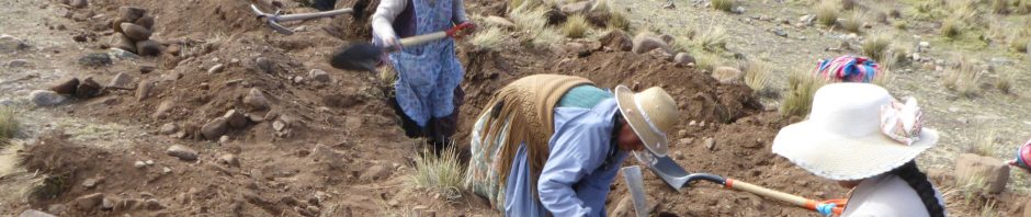 BOLIVIE – Les actions de solidarité de l’association Horizons 19